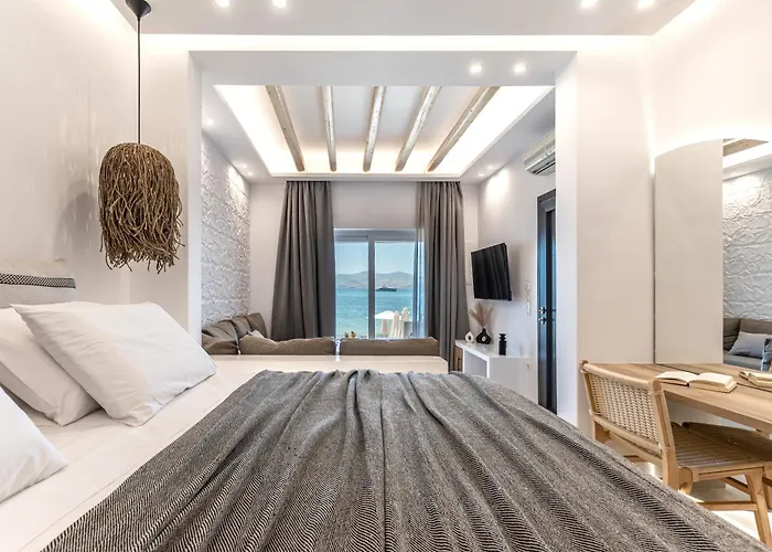 Cactus Suite