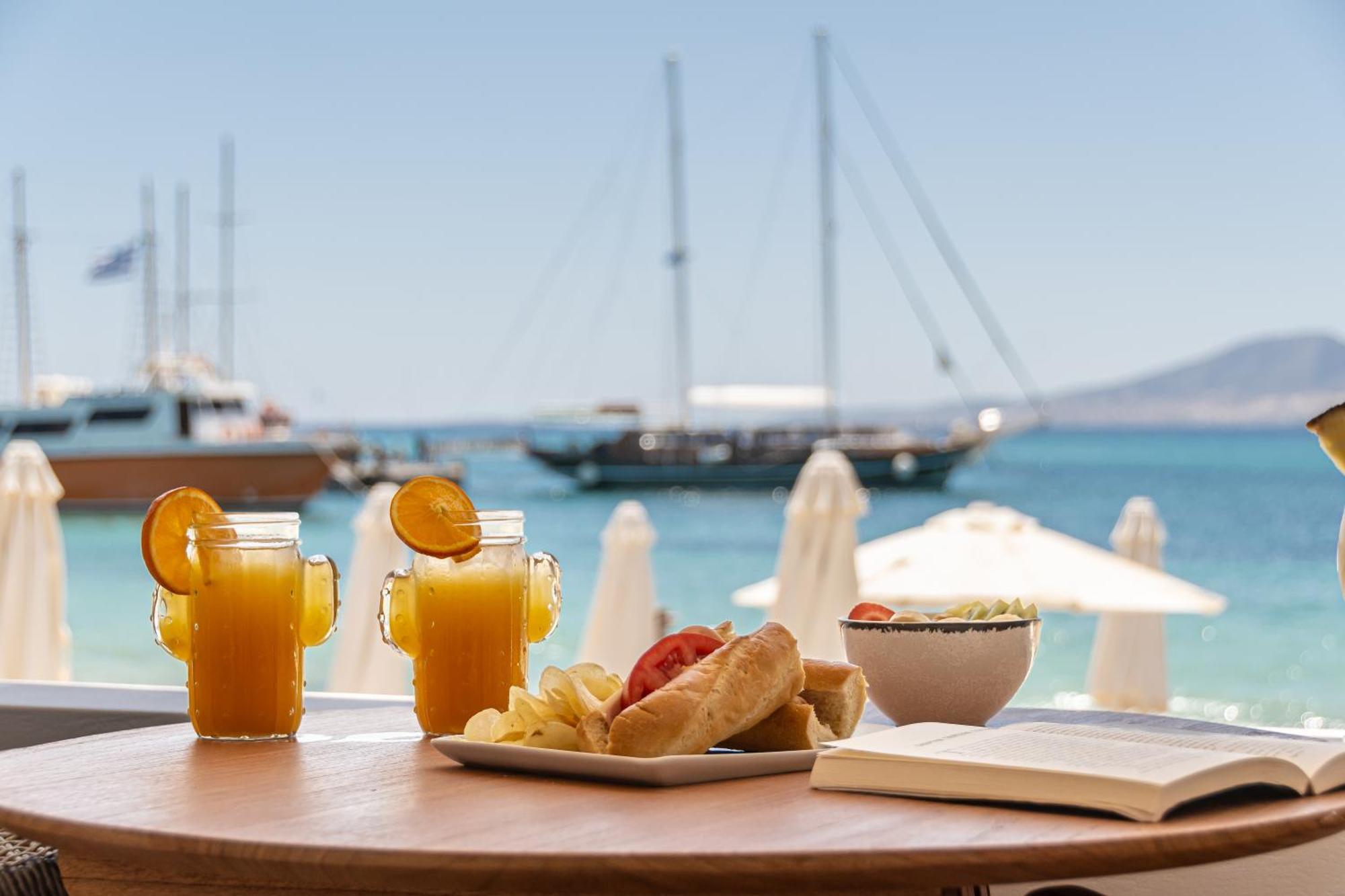 Cactus Holiday home Agia Anna (Naxos)
