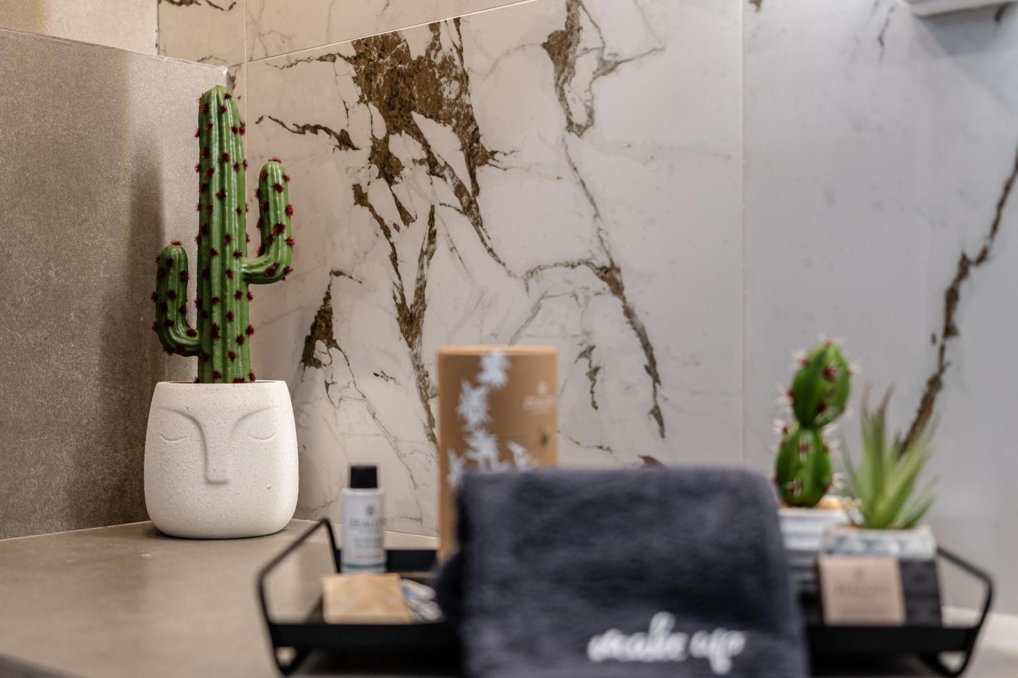 Cactus *